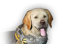 Vespers Hunting Dog